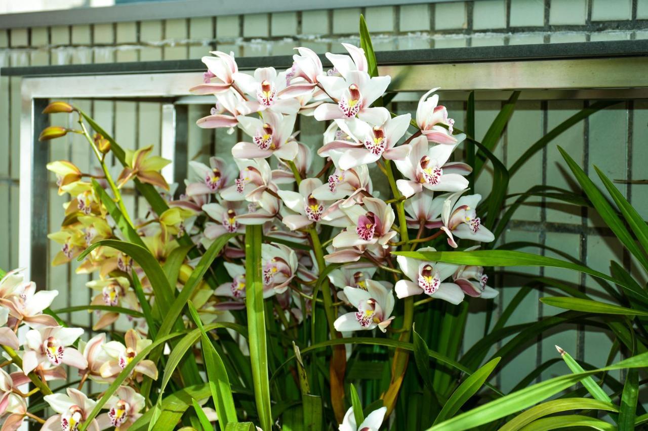 Orchid House - T1 Apartment 브라가 외부 사진